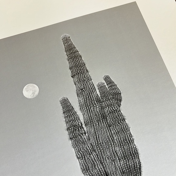 Original Black and White Cactus Photography 13x19 Wall Art Print. - Picture 2 of 3